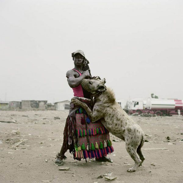 สัตว์เลี้ยงของชาวเมืองลากอส ที่ประเทศไนจีเรีย