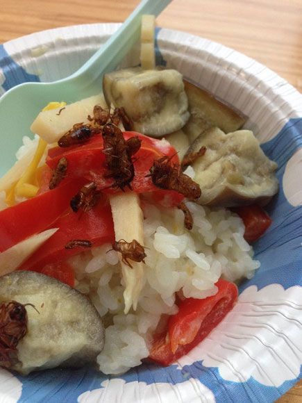 ร้านอาหารในญี่ปุ่น ทำซูชิหน้าหนอน และแมลงทอด